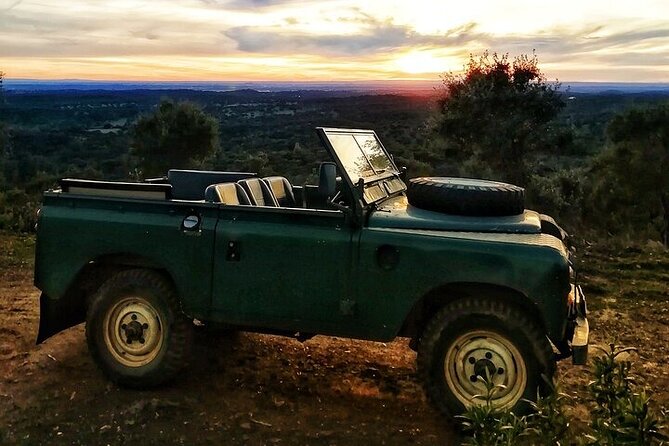 2hr Cork Safari in a Classical Land Rover - Key Things You’ll Notice on This Cork Safari