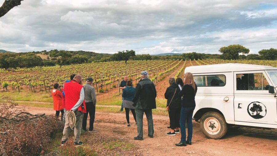2hr Cork Safari in a Classical Land Rover - Cork Farming 101, the Cork Cycle Explained in the Forest