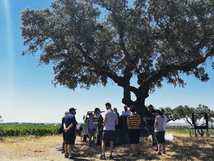 2hr Cork Safari in a Classical Land Rover - More Than Cork, Sheep, Iberian Pigs, Olives, and Vineyards