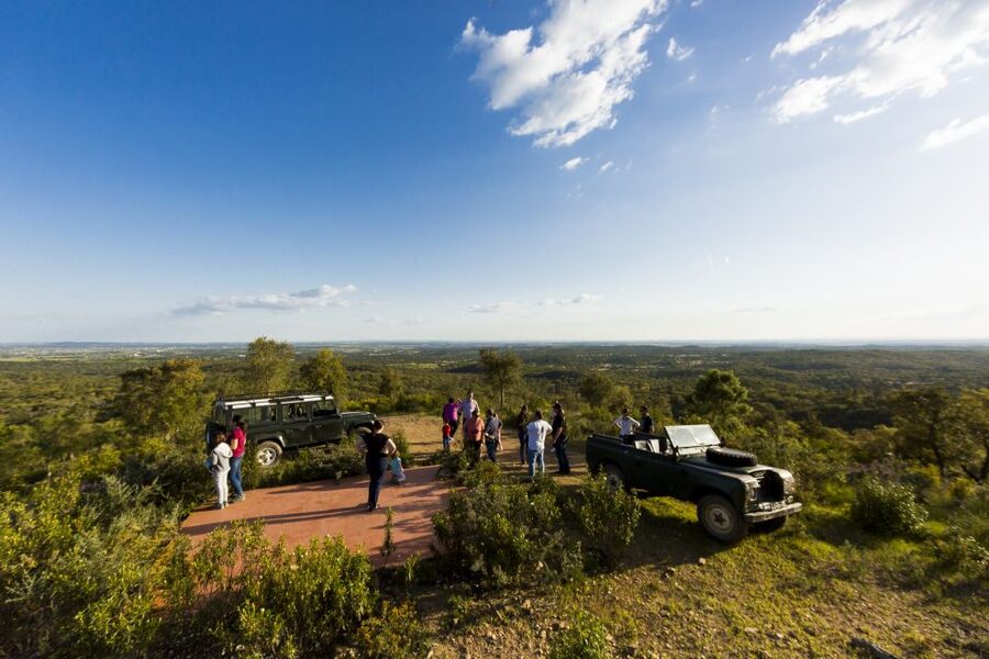 2hr Cork Safari in a Classical Land Rover - Cork Strippers’ Lunch, a Quiet Three-Course Meal