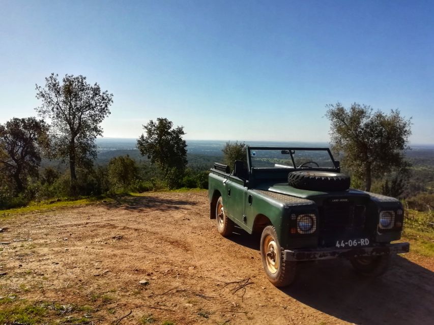2hr Cork Safari in a Classical Land Rover - Price and Value: Is $153 Worth a 3.5-Hour Day?