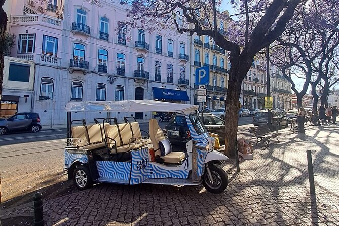 All City Premium Private Guided Tour by Tuk-Tuk in Lisbon - Portas do Sol and the Vhils Amália Rodrigues Cobblestone Art