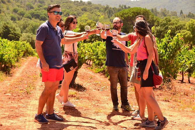 Arrabida and Sesimbra Small-Group Day Trip from Lisbon with Wine Tasting - Quinta do Alcube: family farm tasting in Arrábida’s heart