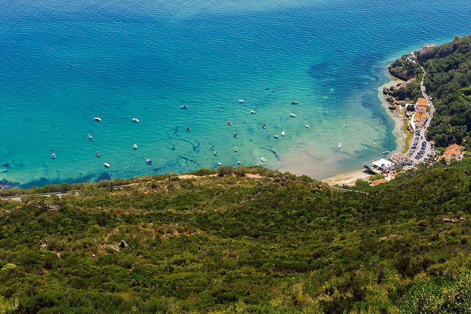Arrabida and Sesimbra Small-Group Day Trip from Lisbon with Wine Tasting - Setúbal market or Palmela Castle: two different flavors depending on the day