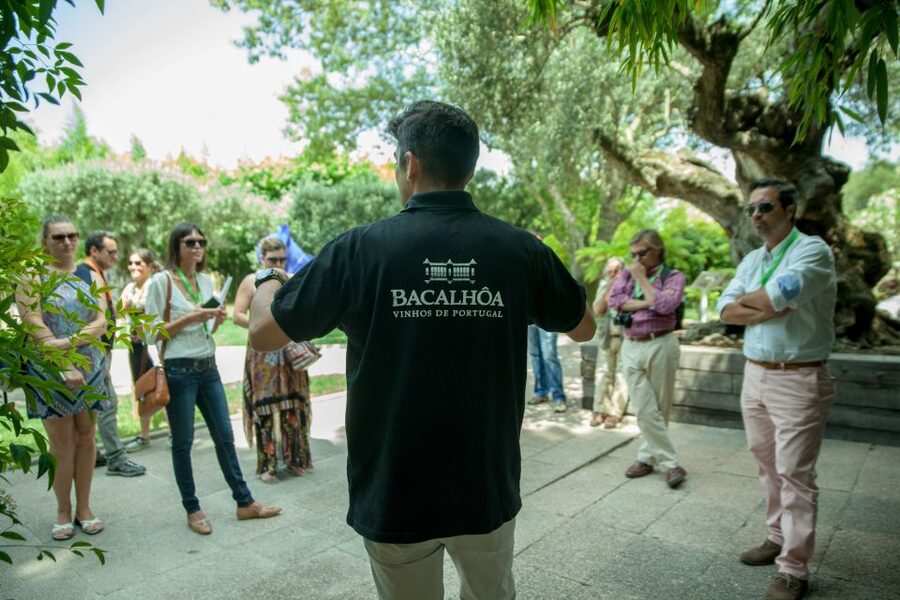 Arrábida: Full-Day Private Tour with Wine Tasting - FAQ