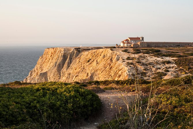 Arrábida: Full-Day Private Tour with Wine Tasting - Praia das Bicas: the coast stop that feels like you found it first