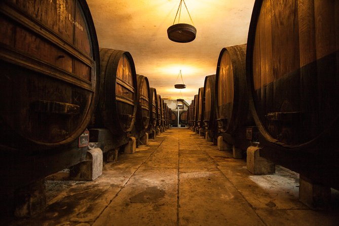 Arrábida: Full-Day Private Tour with Wine Tasting - Sesimbra Castle and the fishing village breakwater walk