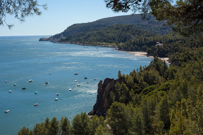 Arrábida: Full-Day Private Tour with Wine Tasting - Private-group value: price, pace, and how the flexibility actually helps