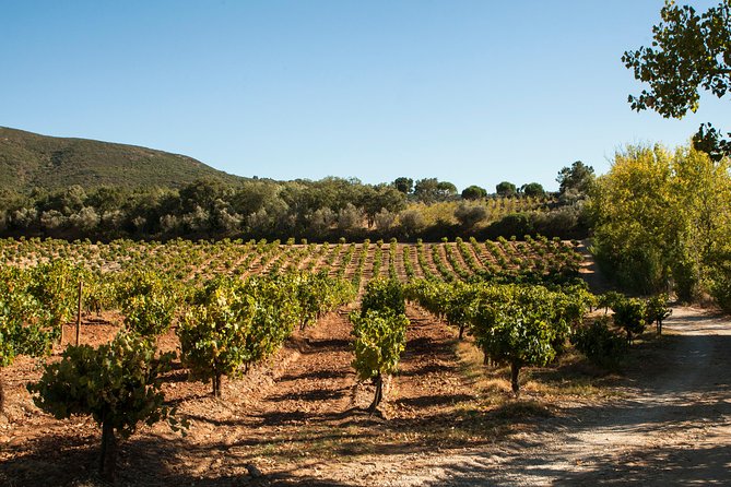 Arrábida: Full-Day Private Tour with Wine Tasting - Cabo Espichel cliffs and the sanctuary of Nossa Senhora do Cabo