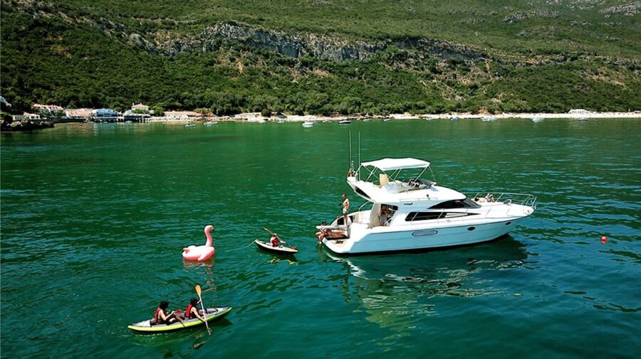 Arrábida Full-Day Yacht Tour from Lisbon - Cruising Arrábida: Dolphins, Rare Birds, and Calm-Bay Energy