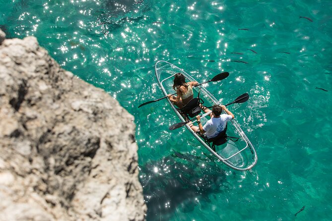 Arrábida: Guided Transparent Kayaking Tour - Why a transparent kayak works so well in Arrábida
