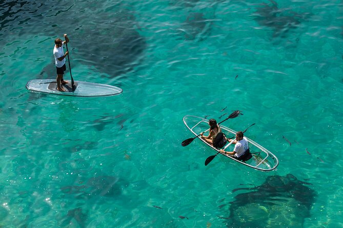 Arrábida: Guided Transparent Kayaking Tour - Getting to Praia do Creiro, or starting at Time Out Market