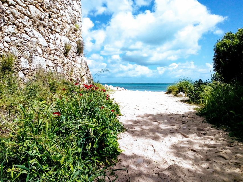 Arrábida Jeep tour to the most beautiful beach of Europe - Price and what you really get in a 6-hour private day