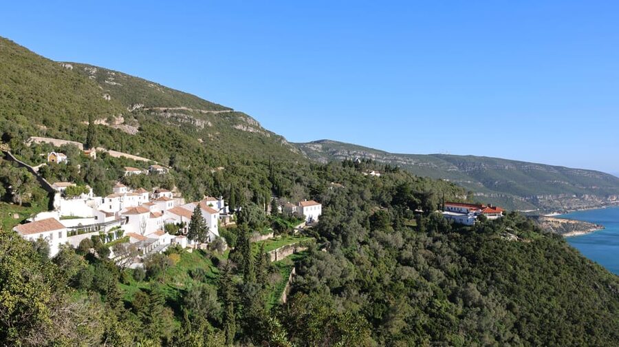 Arrabída Natural Park with Wine Tasting - Should you book Arrábida Natural Park with Wine Tasting?