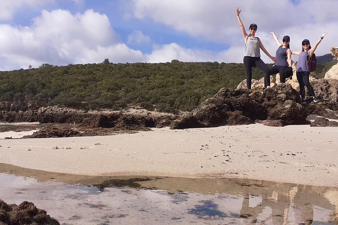 Arrabida Safari – Europe's Most Beautiful Beach & Hidden Gems - Price and Time: Is $119.77 Worth It for This Kind of Day?