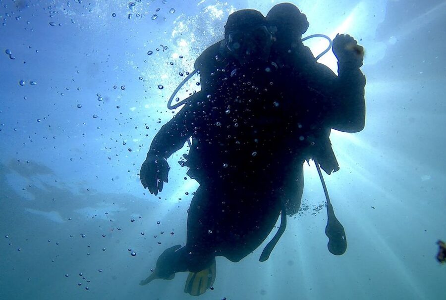 Arrábida - Sesimbra: Eco-Friendly Beginner's Scuba Diving - The safety and communication briefing that makes beginners feel in control