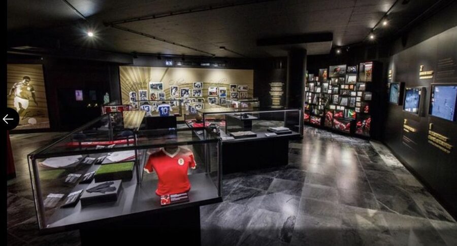Benfica Stadium and Museum Tour - Estádio da Luz: Off-Limits Access and That Moment on the Field