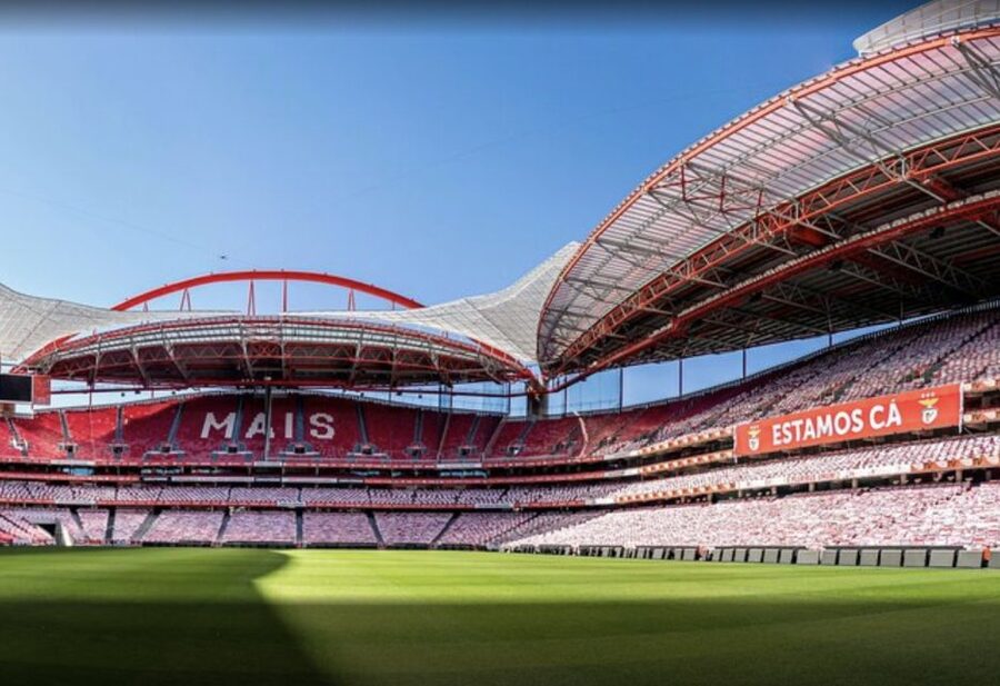 Benfica Stadium and Museum Tour - Cosme Damião Museum: The Benfica Story Told Through Documents and Multimedia