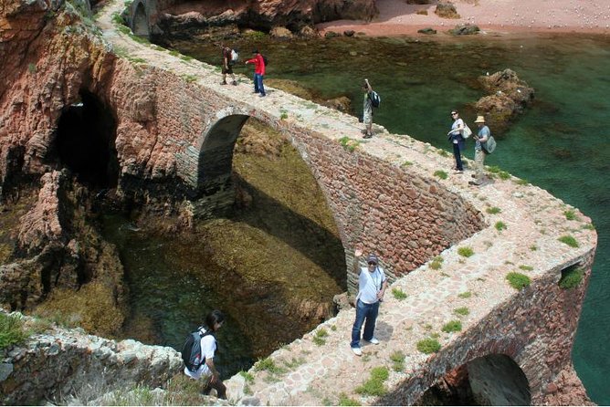 Berlenga Island Small-Group Day Trip from Lisbon - Lunch on your terms: seafood timing, picnic option, and staying comfortable