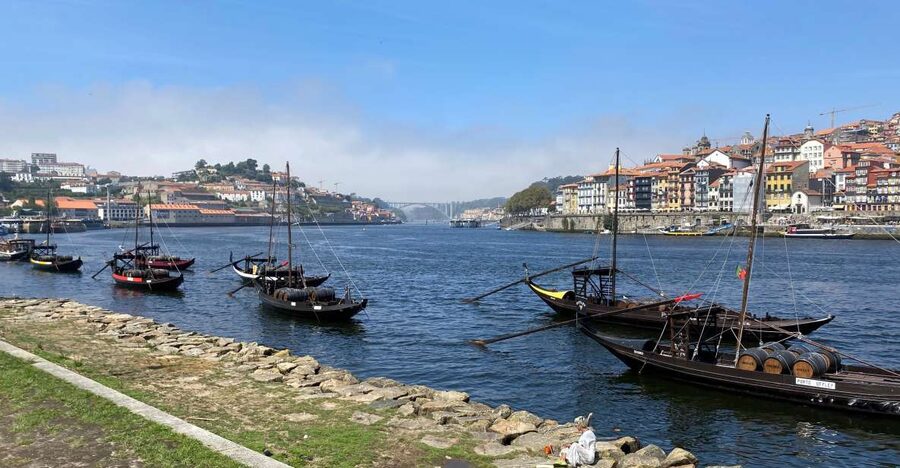 Best of Porto - Private Tour from Lisbon - Livraria Lello: the bookstore stop you will not forget