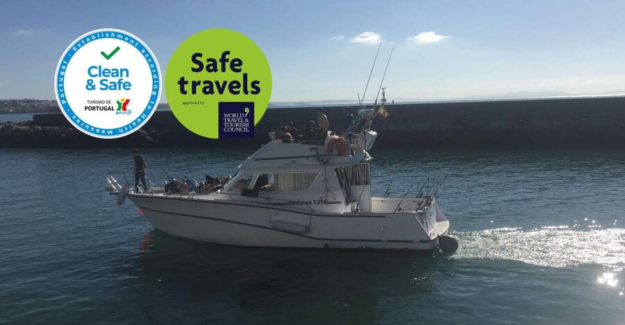 Cascais Deep-Sea Fishing Trip - From Cascais Marina to the Open Atlantic: What the Day Feels Like