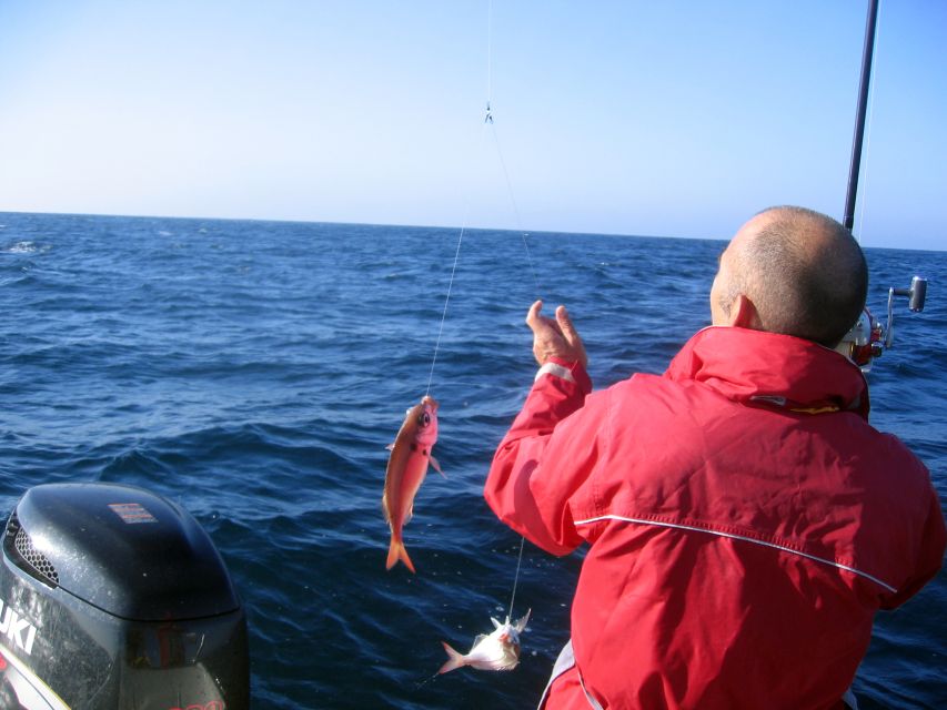 Cascais Deep-Sea Fishing Trip - Half-Day vs Full-Day: How Timing Changes the Value