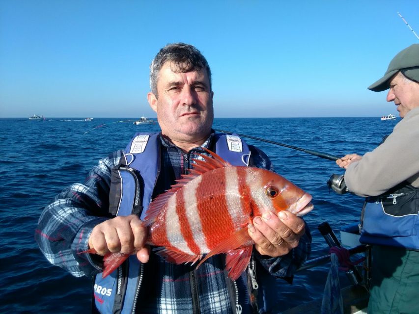 Cascais Deep-Sea Fishing Trip - What You Can Catch Off Cascais: Species and Realistic Expectations