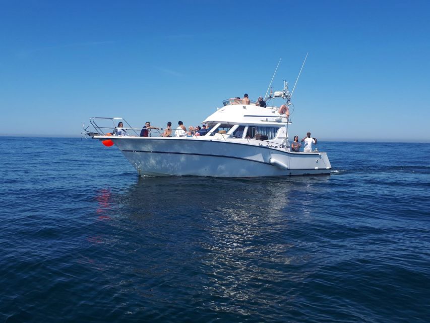Cascais Deep-Sea Fishing Trip - Who Should Book This Cascais Fishing Trip (and Who Should Skip It)