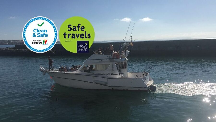 Cascais Deep-Sea Fishing Trip - Should You Book PalmaYachts for Cascais Deep-Sea Fishing?