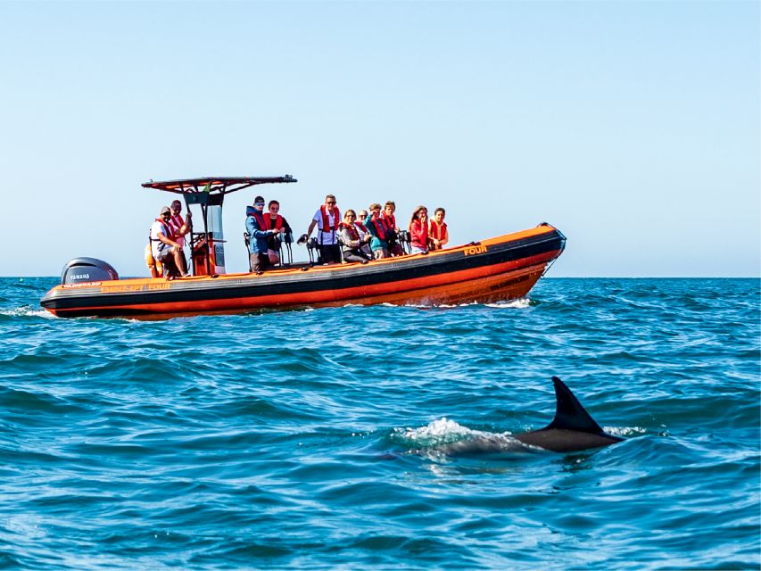 Cascais: Dolphin Watching Tour - Gear, Clothing, and What to Pack (So You Don’t Get Cold)