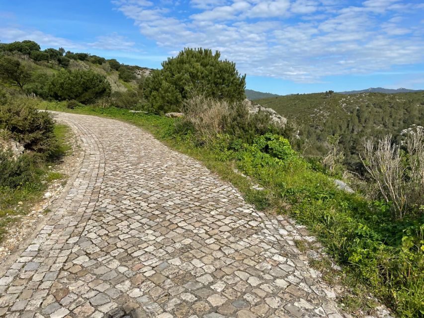 Cascais-Sintra E-bike Tour: Coast & Countryside Adventure - What to bring for comfort and good photos
