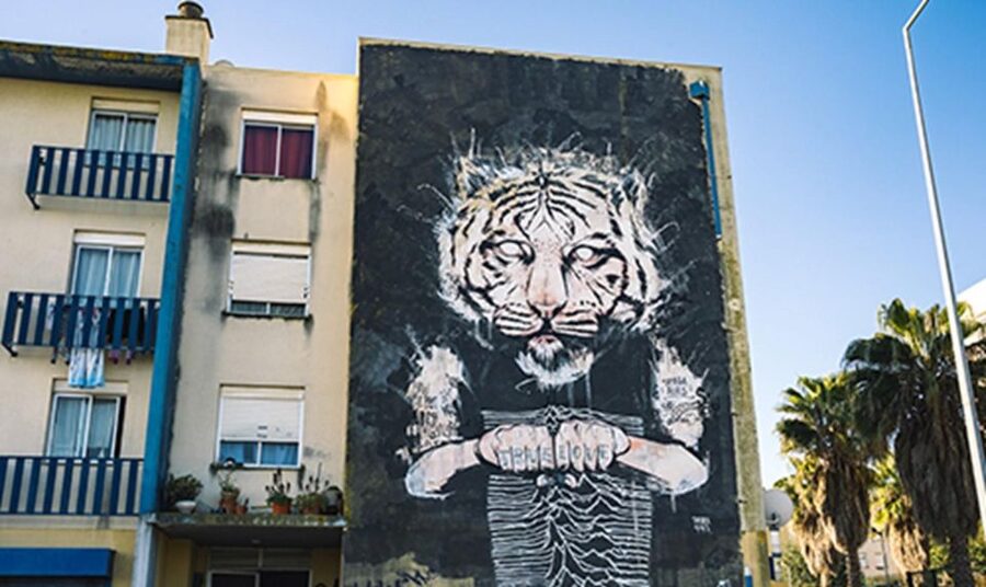 Chaparru<code>s Street Art Tuk Tuk Tour 3 H – Key things I’d put on your must-know list’ /></p>
<ul>
<li><strong>Private group for up to 2</strong> makes it feel personal in tight street corners</li>
<li><strong>Three hours</strong> is just long enough to see many works without burning the day</li>
<li><strong>Neighborhood hopping</strong> through places like Marvila, Beato, Alcantara, Moscavide and Graça</li>
<li><strong>Big mural names</strong> you may recognize, plus smaller artists along the way</li>
<li><strong>LX Factory contrast</strong> between older streets and newer creative spaces</li>
</ul>
<h2>Lisbon Street Art by Tuk Tuk: Why This Format Works</h2>
<p><img width="900" height="536" decoding="async" src=