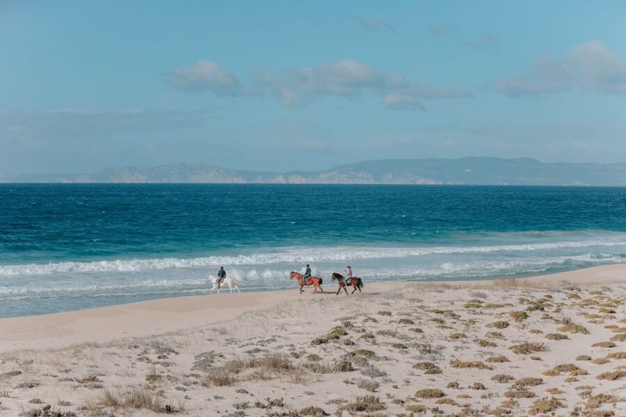 Comporta: Guided Horseback Riding Experience - Cavalos na Areia Start: The Small Things That Make You Enjoy the Ride More