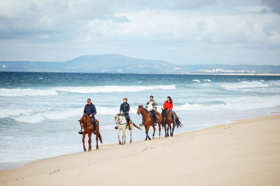 Comporta: Guided Horseback Riding Experience - Cork Trees, Forest Edges, and Comporta Cabana Life