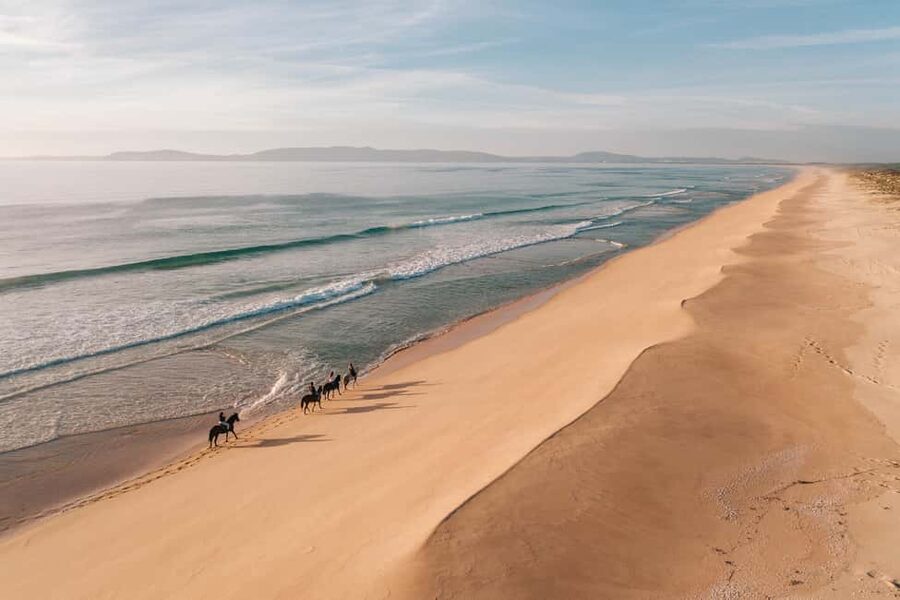 Comporta: Guided Horseback Riding Experience - Riding Through Rice Fields: Where the Countryside Turns Into a Calm Adventure