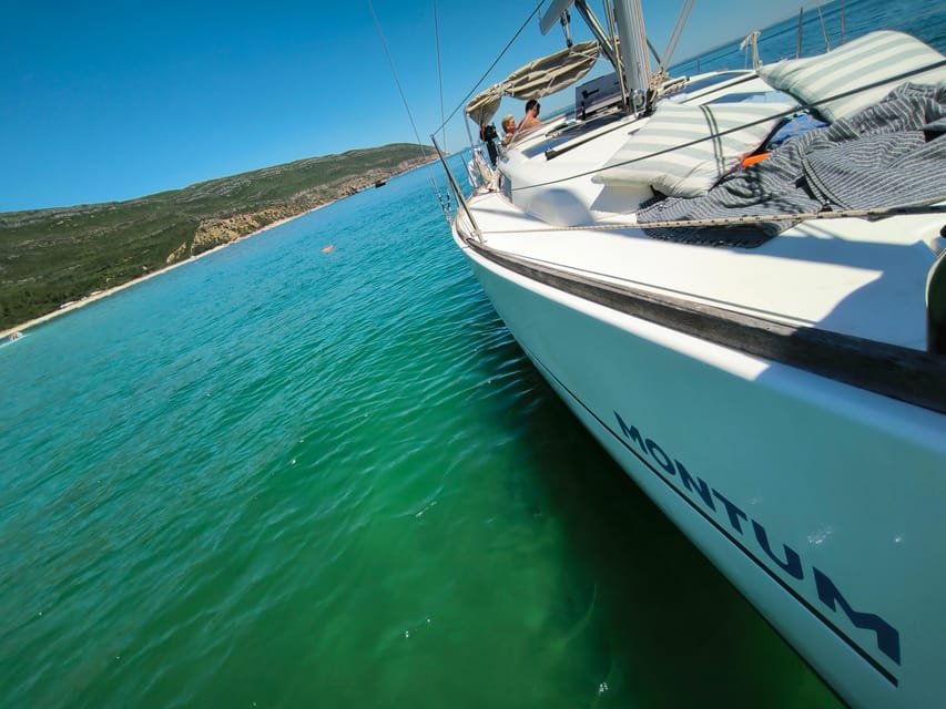 Comporta - Troia - Setubal: Private Boat Experience - Dolphin spotting near the sailboat: treat it like a craft, not a lottery