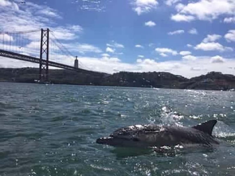Cultural Sailing Tour in Lisbon - Who this sailing tour suits best, and who might not