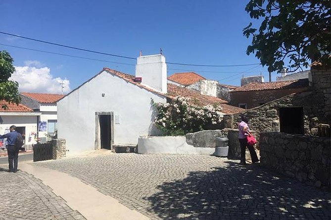 Divine Fátima Full Day Private Tour from Lisbon - Basilica time: what you’ll see and why it matters