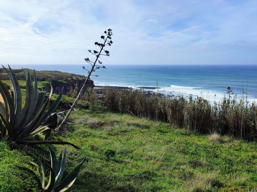 Ericeira Private Tour: 10 Tastings Food Tour - Price and Value for a $118 Private Food Walking Tour