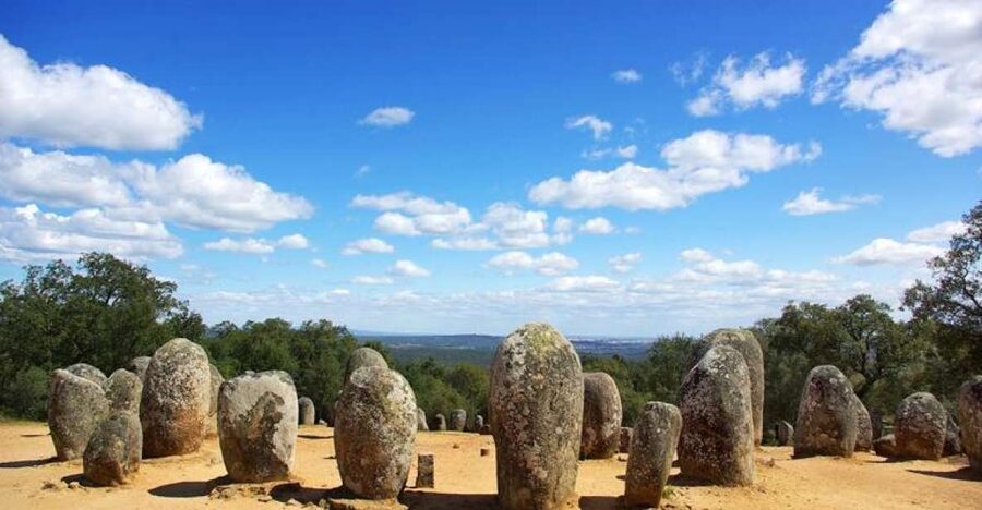 Évora and Megaliths Full-Day Tour from Lisbon - Cork oak countryside stop: where Portugal’s most useful trees enter the story