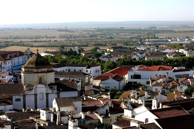 Évora and Monsaraz with Regional Wine Tasting from Lisbon - A Road Trip Into Alentejo, With Time for Real Stops