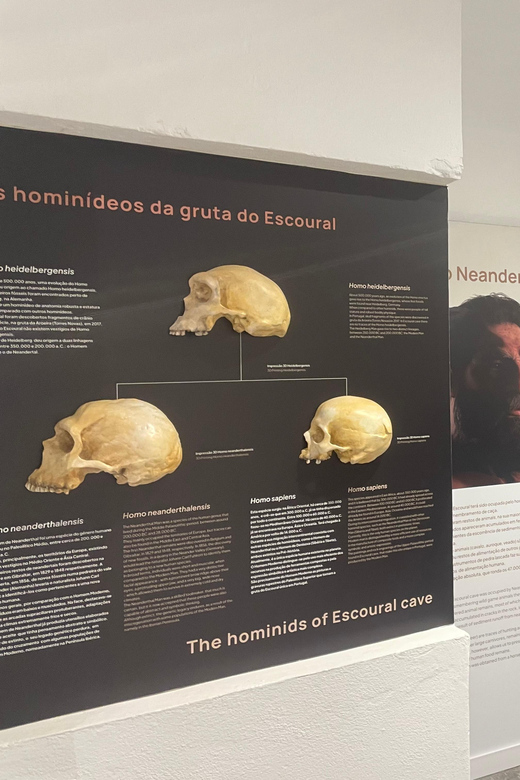 Évora or Montemor: Guided Tour of the Escoural Caves - Photo Rules, Comfort Tips, and Who Should Rethink This Stop