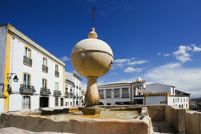 Évora: Private walking tour with tickets to main monuments - Se Catedral de Évora: Gothic scale plus cloisters and roof views