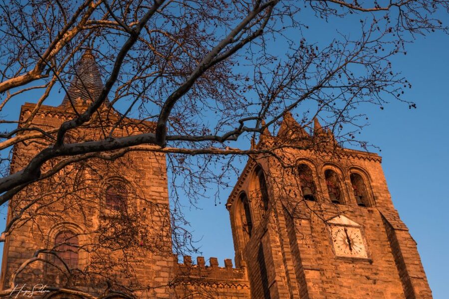 Évora: Tales and Legends Guided Walking Tour - Évora’s main story threads, from early roots to modern Portugal