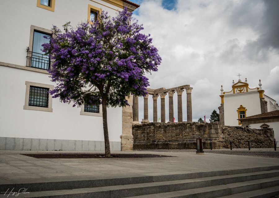 Évora: Tales and Legends Guided Walking Tour - The bone-chapel story and why it matters beyond shock value