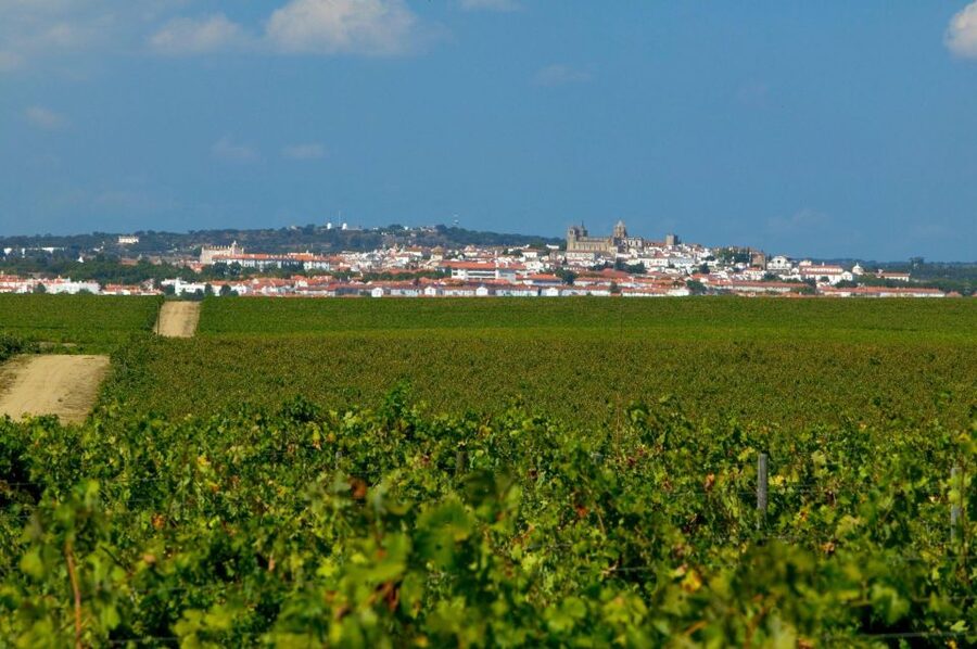 Évora Tour: Private and Customized tour Full and Half day - Lunch in Évora and How to Use the 2-Hour Window