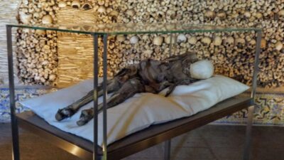 Evora University, Cathedral & Bones Chapel — SkipLine + Wine