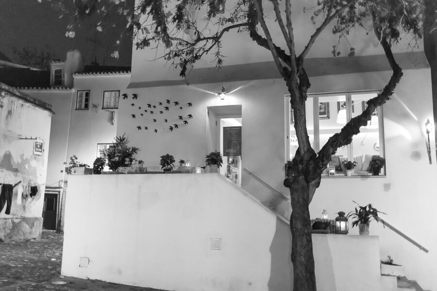 Fado: Musical Walking Tour with Food & Live Show - Typical Fado Houses in Alfama, How to Spot a Real Listening Room