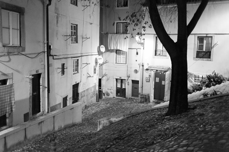 Fado: Musical Walking Tour with Food & Live Show - The Live Singer and Guide: What You Gain Beyond Hearing Songs