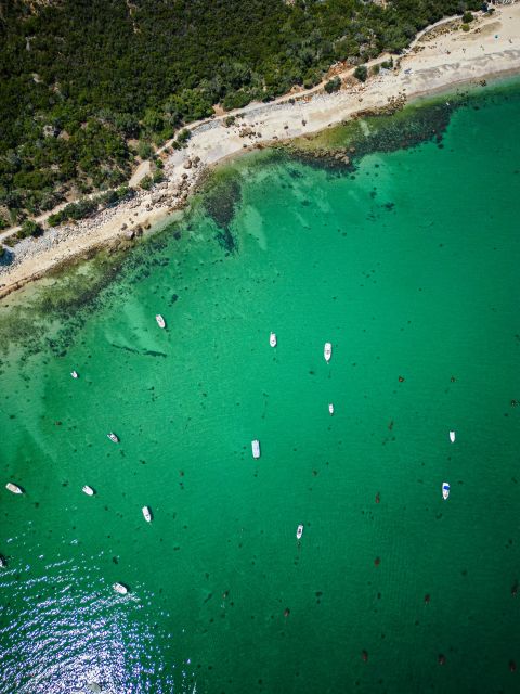 From Lisbon: Arrábida, Azeitão, Sesimbra, Palmela, Setúbal … - Who should book this tour, and who might want a different style
